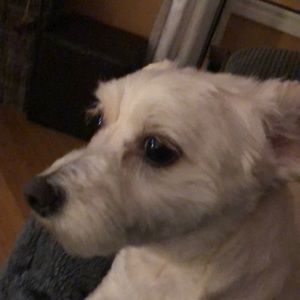 Meet your Posher, Barbara